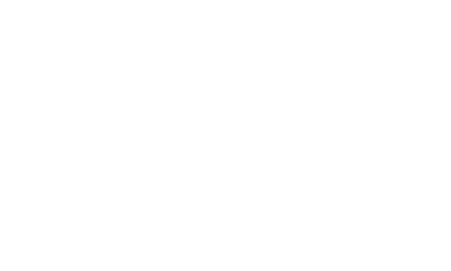 Air Asia